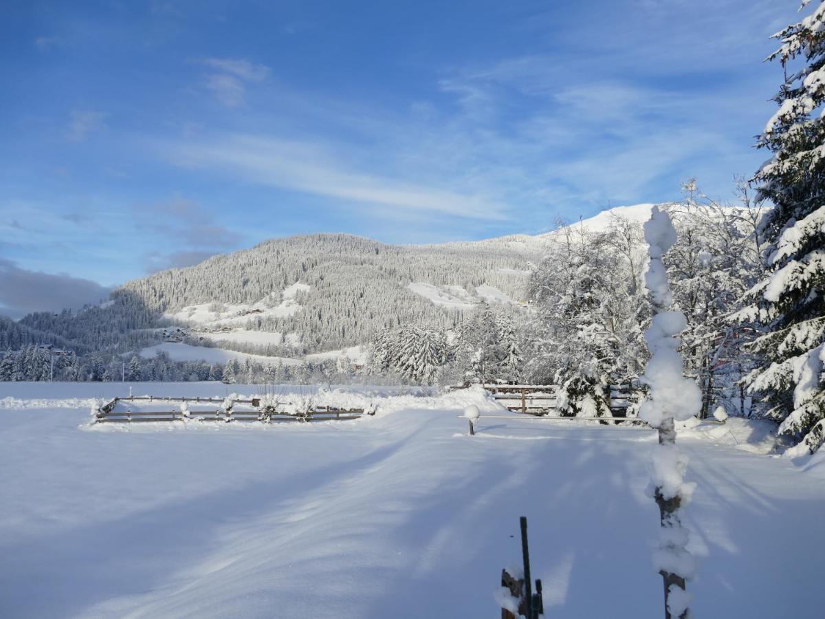 Ferienwohnung Zedlacher Patergassen Esterno foto